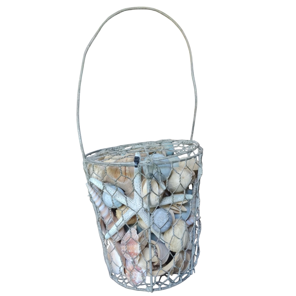 Decorative‎ Seashell Basket with Handle Pot Pourri Bucket D2